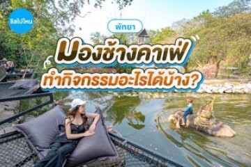 มองช้างคาเฟ่ พัทยา มีกิจกรรมอะไรให้ทำบ้าง?