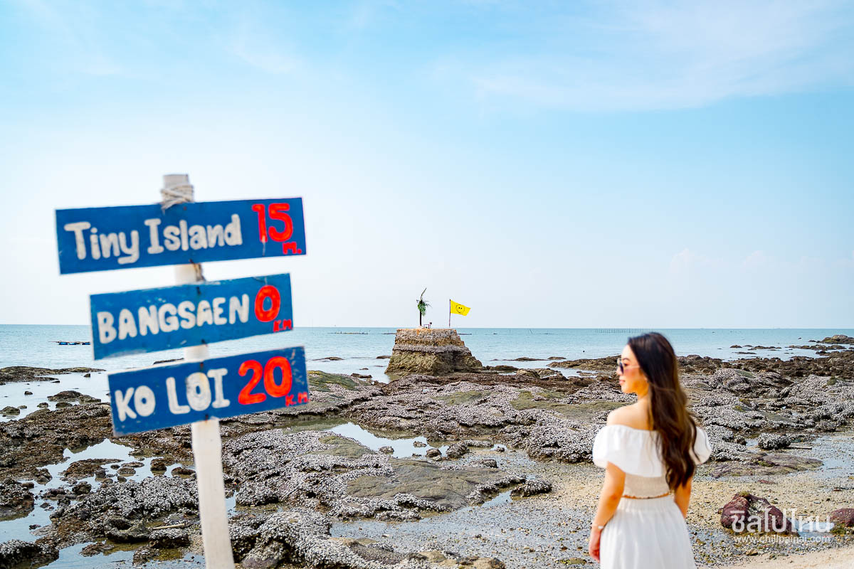 Bangsaen_Beach_Camp_33