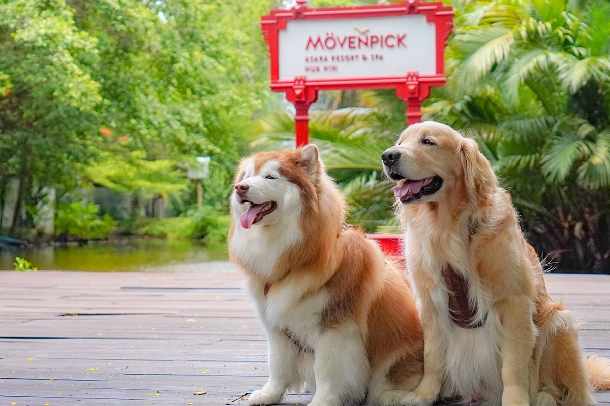 Mövenpick_Asara_Resort_Spa_Hua_Hin