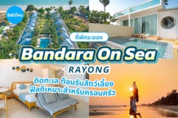 Bandara On Sea Rayong (บัญดารา ออน ซี ระยอง) ที่พักติดทะเลต้อนรับสัตว์เลี้ยง ฟีลดีเหมาะสำหรับครอบครัว