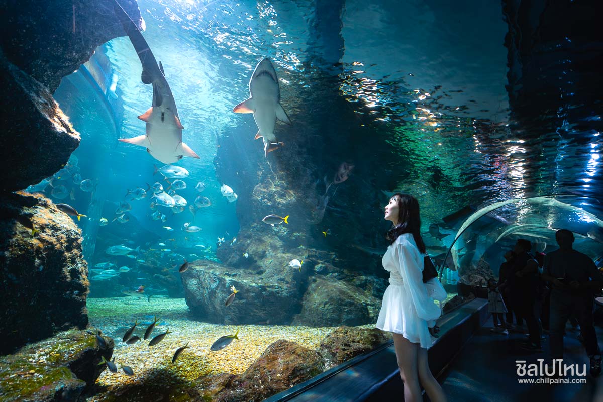 raw-paragon-7worldclass-1264-enhanced-nr-edit