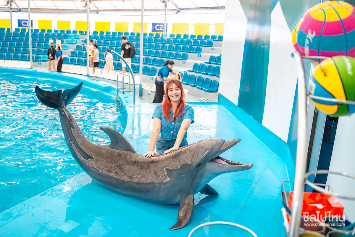 Pattaya_Dolphinarium_61