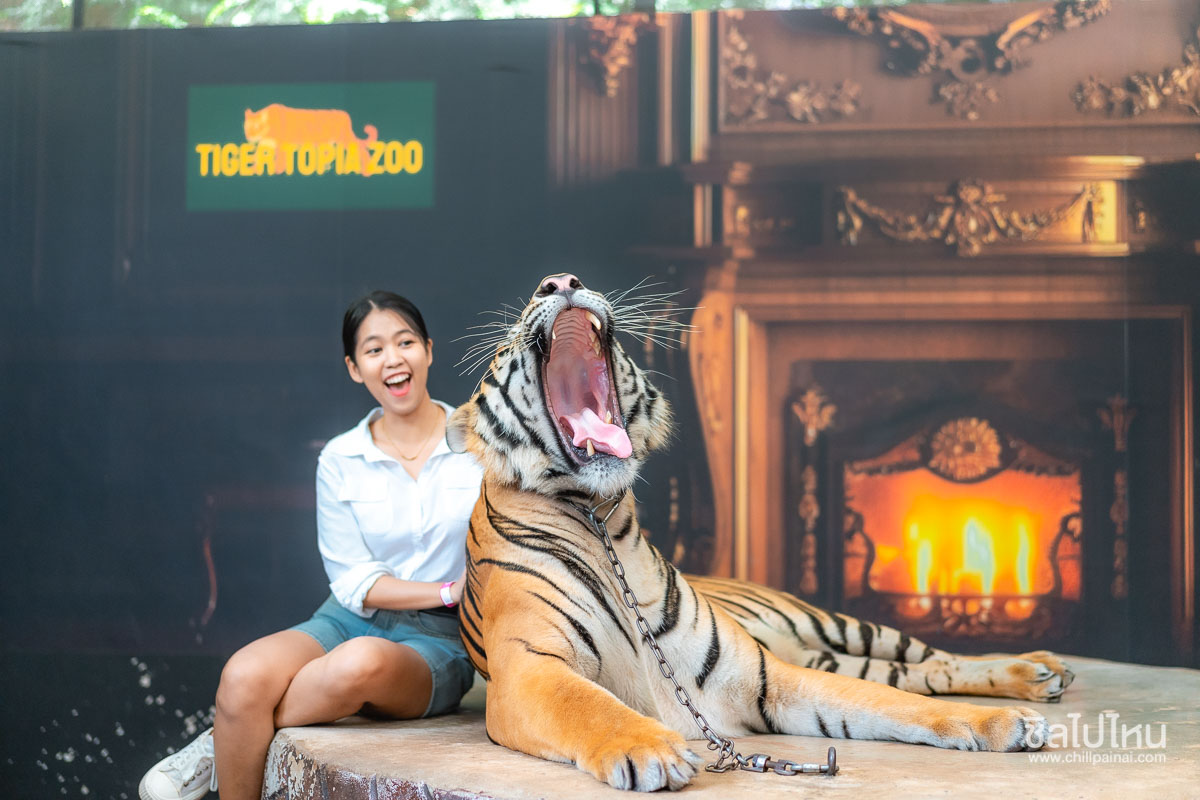 Tiger_Topia_Zoo_1200_7