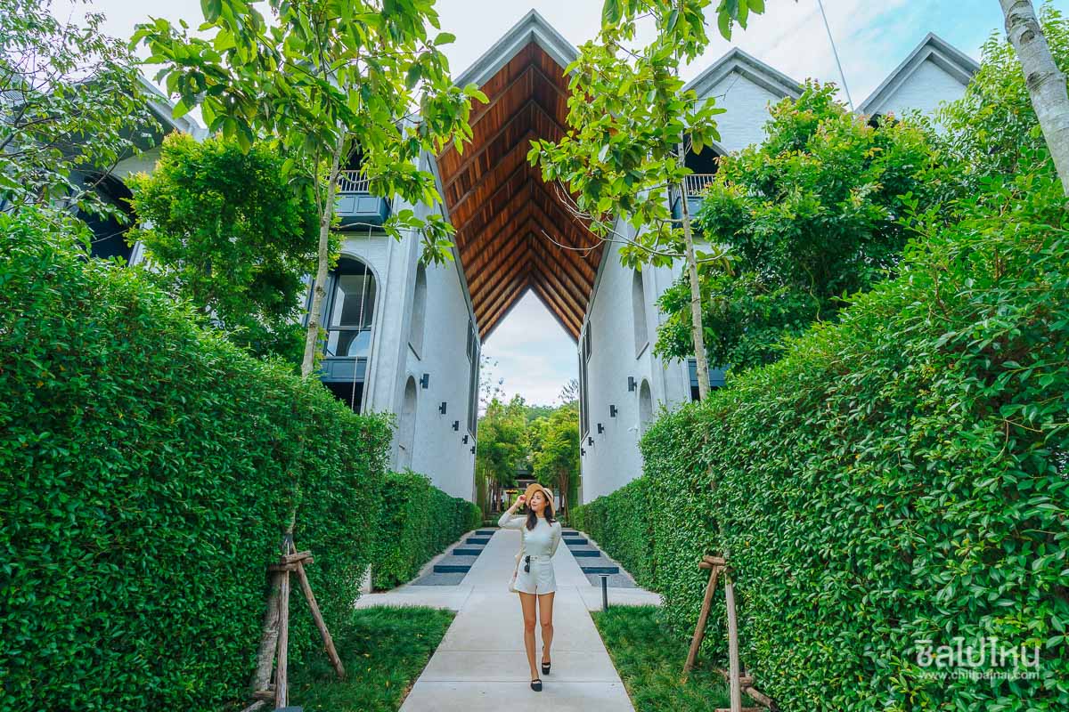 20 ที่พักเขาใหญ่สวยเหมือนไปเมืองนอก วิวดี ถ่ายรูปปัง พักผ่อนสุดฟิน อัปเดตใหม่ 2569