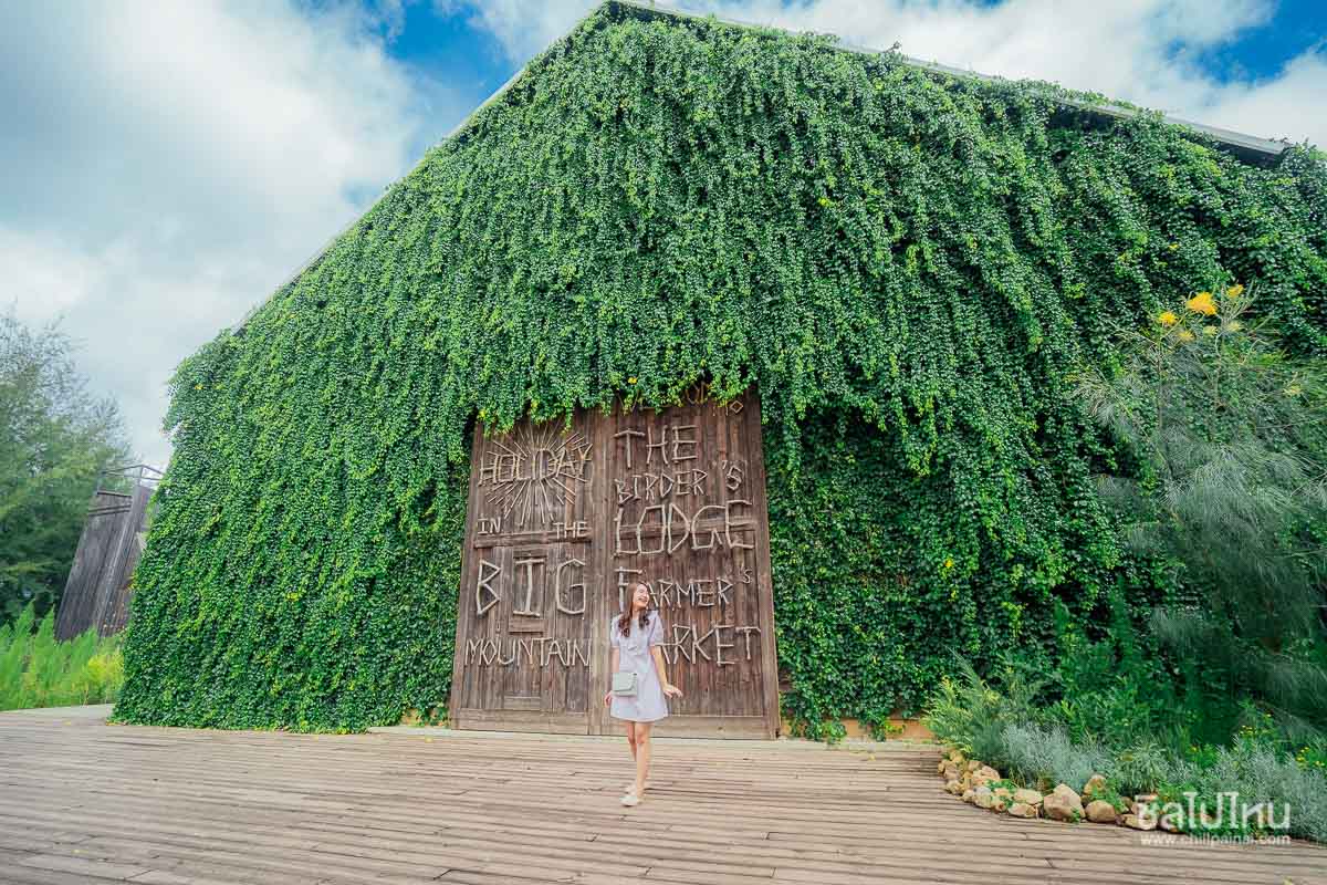 20 ที่พักเขาใหญ่สวยเหมือนไปเมืองนอก วิวดี ถ่ายรูปปัง พักผ่อนสุดฟิน อัปเดตใหม่ 2569