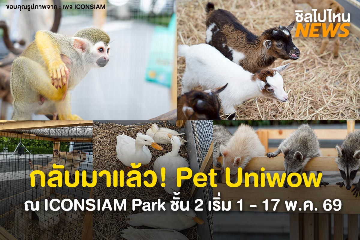ปกข่าว_ScoopChillNews