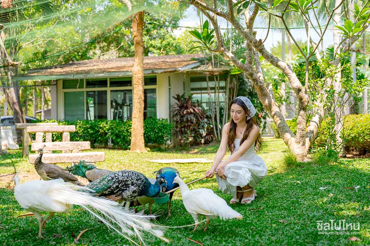 Nana_Resort_37