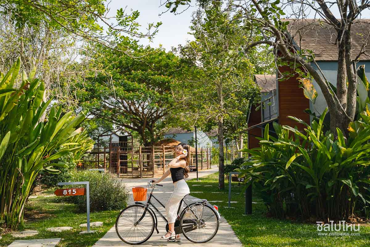 The_Tree_Riverside_Resort_24