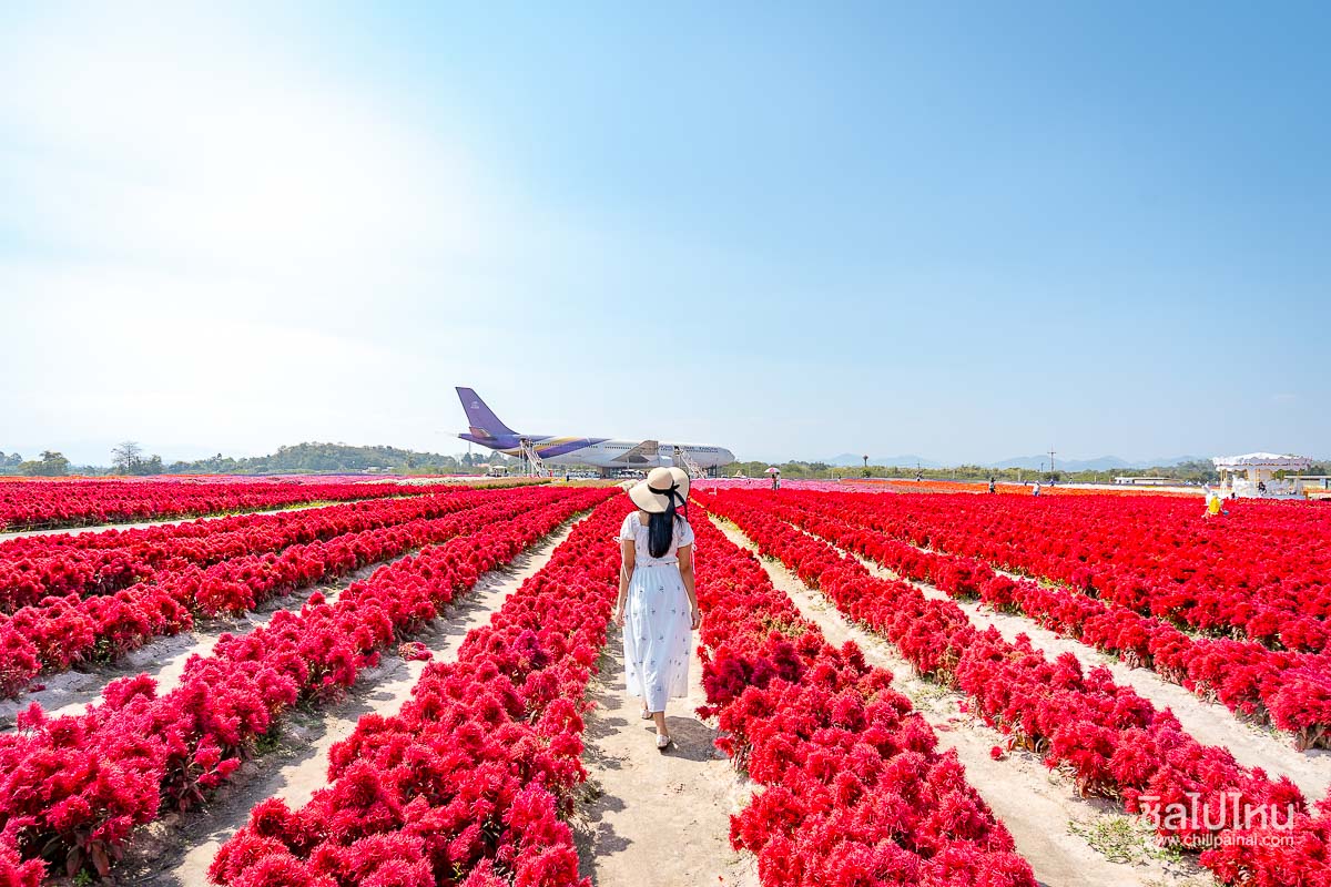 10 กิจกรรมน่าทำในเขาใหญ่ เที่ยวได้ครบทั้งธรรมชาติ คาเฟ่ และสายแอดเวนเจอร์