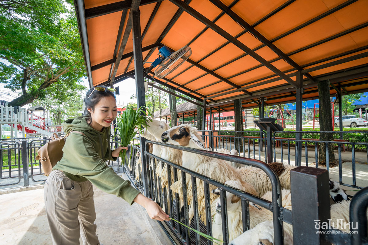 10 กิจกรรมน่าทำในเขาใหญ่ เที่ยวได้ครบทั้งธรรมชาติ คาเฟ่ และสายแอดเวนเจอร์
