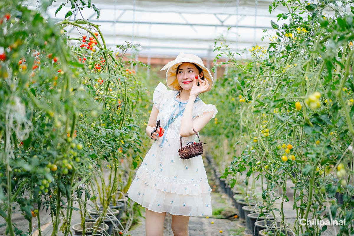 10 กิจกรรมน่าทำในเขาใหญ่ เที่ยวได้ครบทั้งธรรมชาติ คาเฟ่ และสายแอดเวนเจอร์