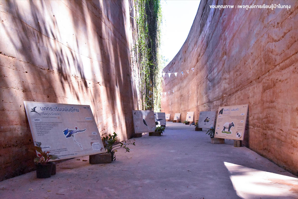 Greenincity3