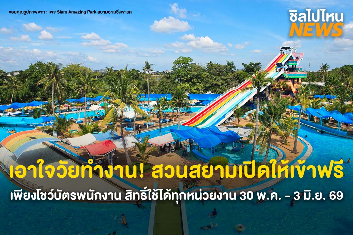 siamamazing