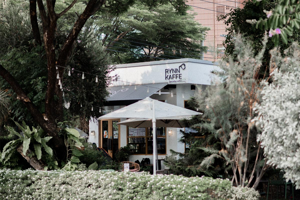 rynn-1