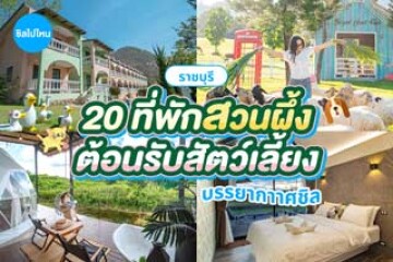 20 ที่พักสวนผึ้ง ราชบุรี บรรยากาศชิล ต้อนรับสัตว์เลี้ยง อัปเดตใหม่ 2569
