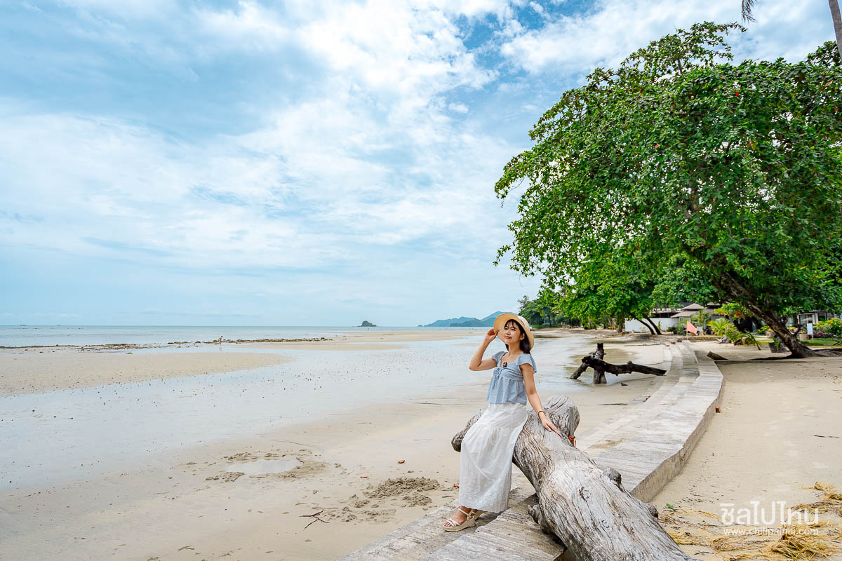 Siam_Bay_172
