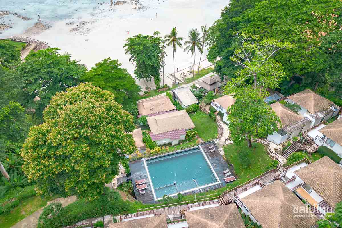 Siam_Bay_322