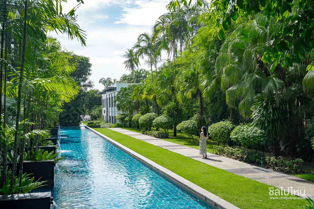 The_Chill_Resort_344