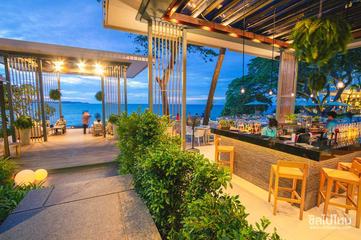 ร้าน8-1