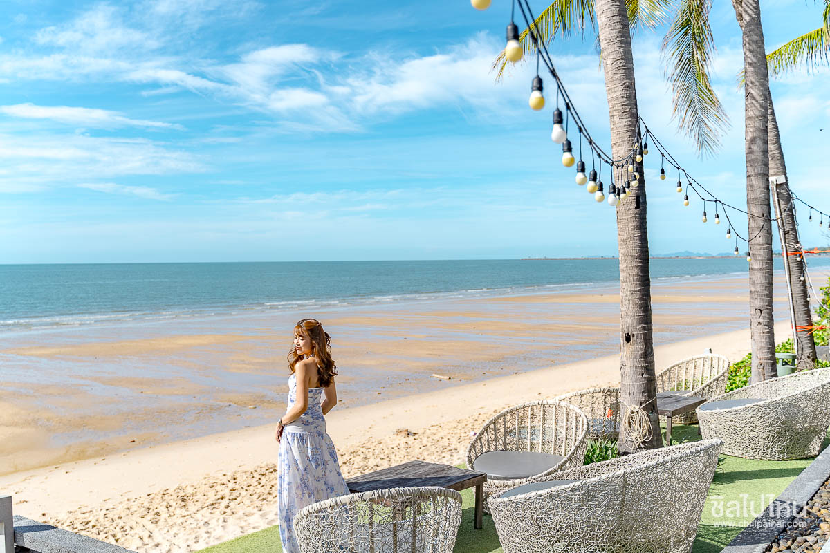 Eco_Cozy_Beachfront_Chaam_48
