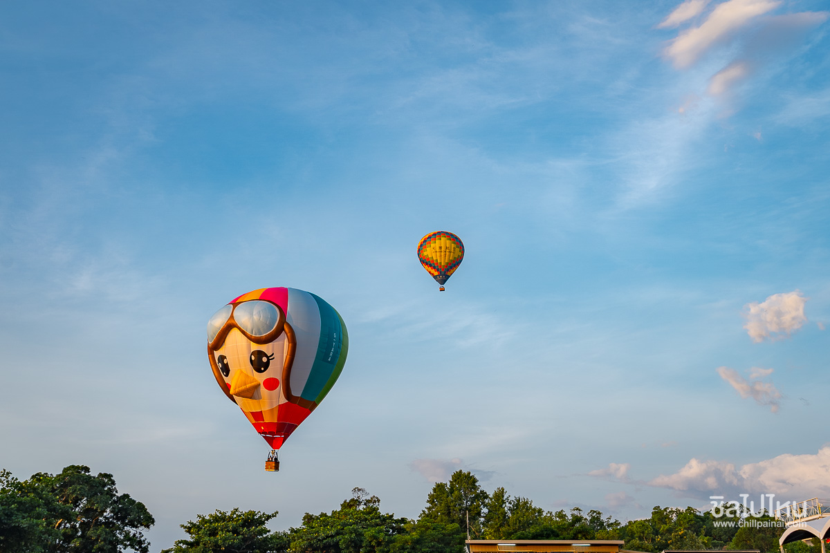 Taiwan_International_Balloon_Festival_13