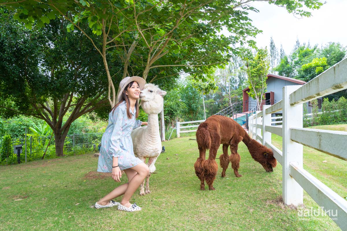 10 ที่พักเขาใหญ่สำหรับครอบครัว วิวสวย ใกล้ที่เที่ยว พักผ่อนครบจบในที่เดียว อัปเดตใหม่ 2569