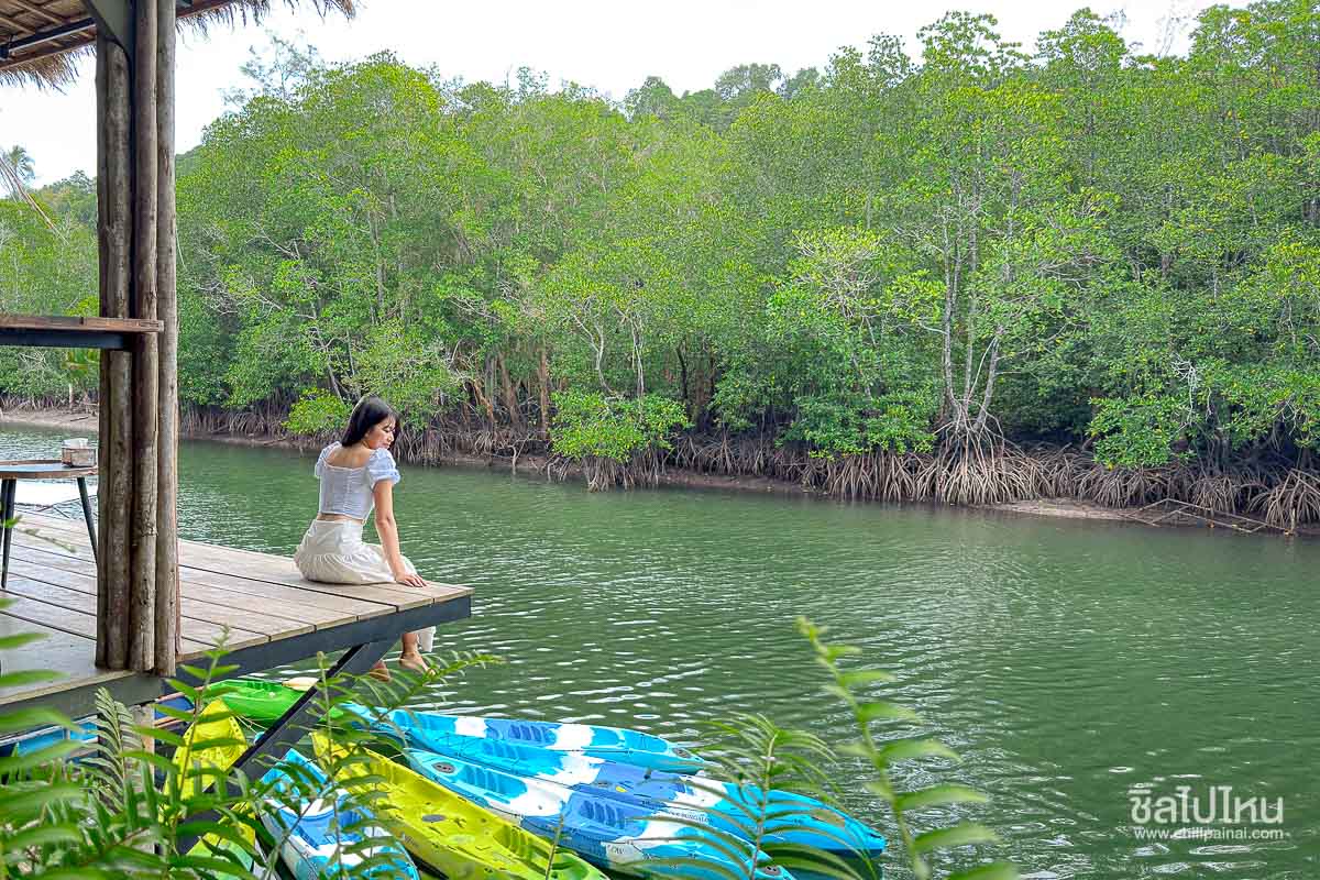 MANGROVE_KohKood_9