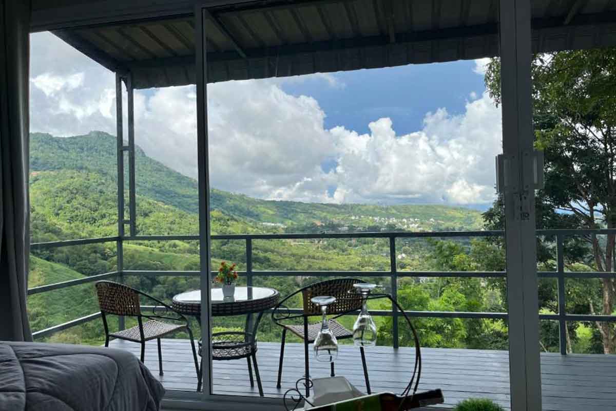 View_Rob