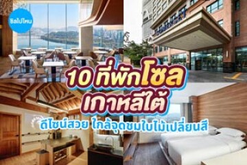 10 ที่พักโซล เกาหลีใต้ ดีไซน์สวย ใกล้จุดชมใบไม้เปลี่ยนสี อัปเดต 2569
