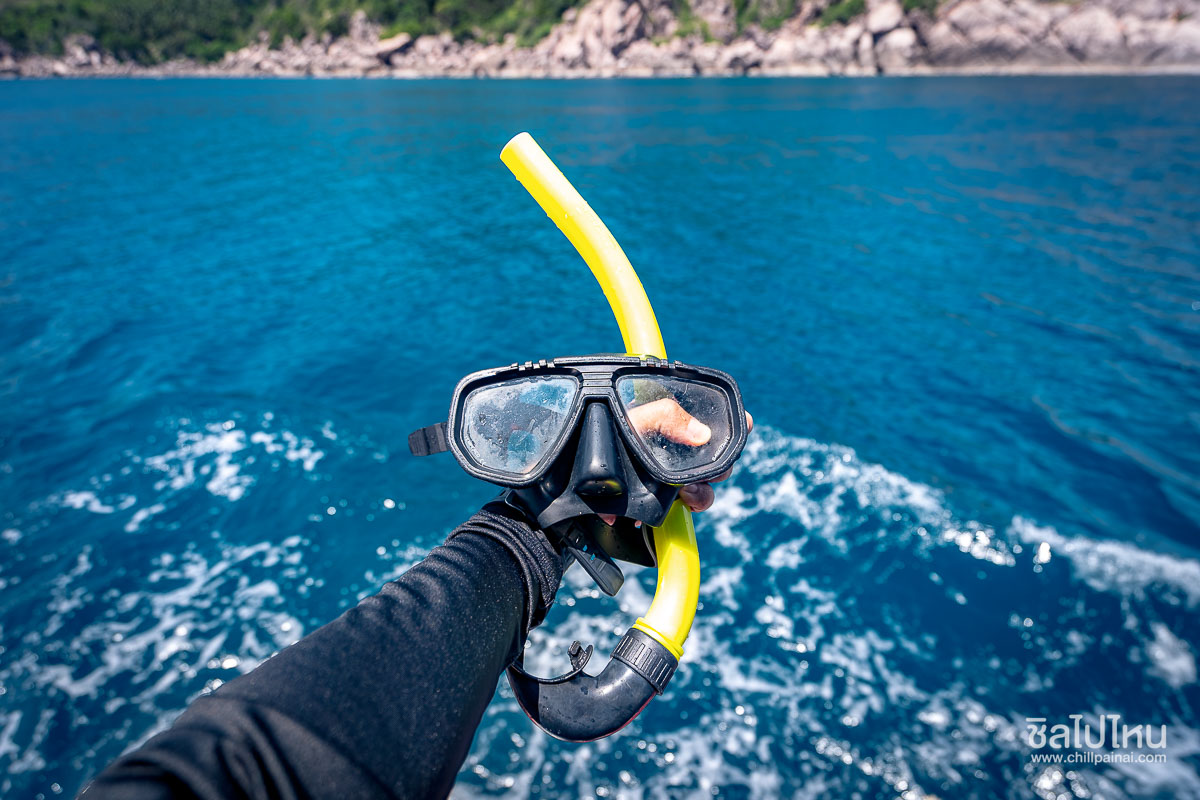 One Day Trip เกาะเต่า–เกาะนางยวน จากสมุย เที่ยวครบ ดำน้ำ เล่นน้ำ ชมวิว