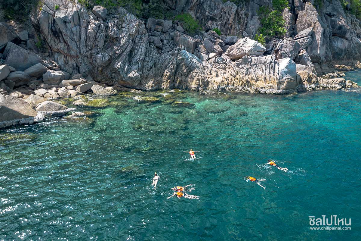 One Day Trip เกาะเต่า–เกาะนางยวน จากสมุย เที่ยวครบ ดำน้ำ เล่นน้ำ ชมวิว