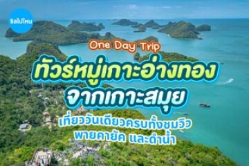 ทัวร์หมู่เกาะอ่างทองจากเกาะสมุย เที่ยววันเดียวครบทั้งชมวิว พายคายัค และดำน้ำ