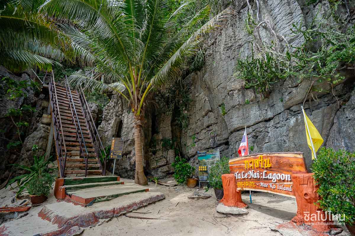 ทัวร์หมู่เกาะอ่างทองจากเกาะสมุย เที่ยววันเดียวครบทั้งชมวิว พายคายัค และดำน้ำ