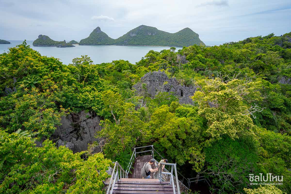 ทัวร์หมู่เกาะอ่างทองจากเกาะสมุย เที่ยววันเดียวครบทั้งชมวิว พายคายัค และดำน้ำ