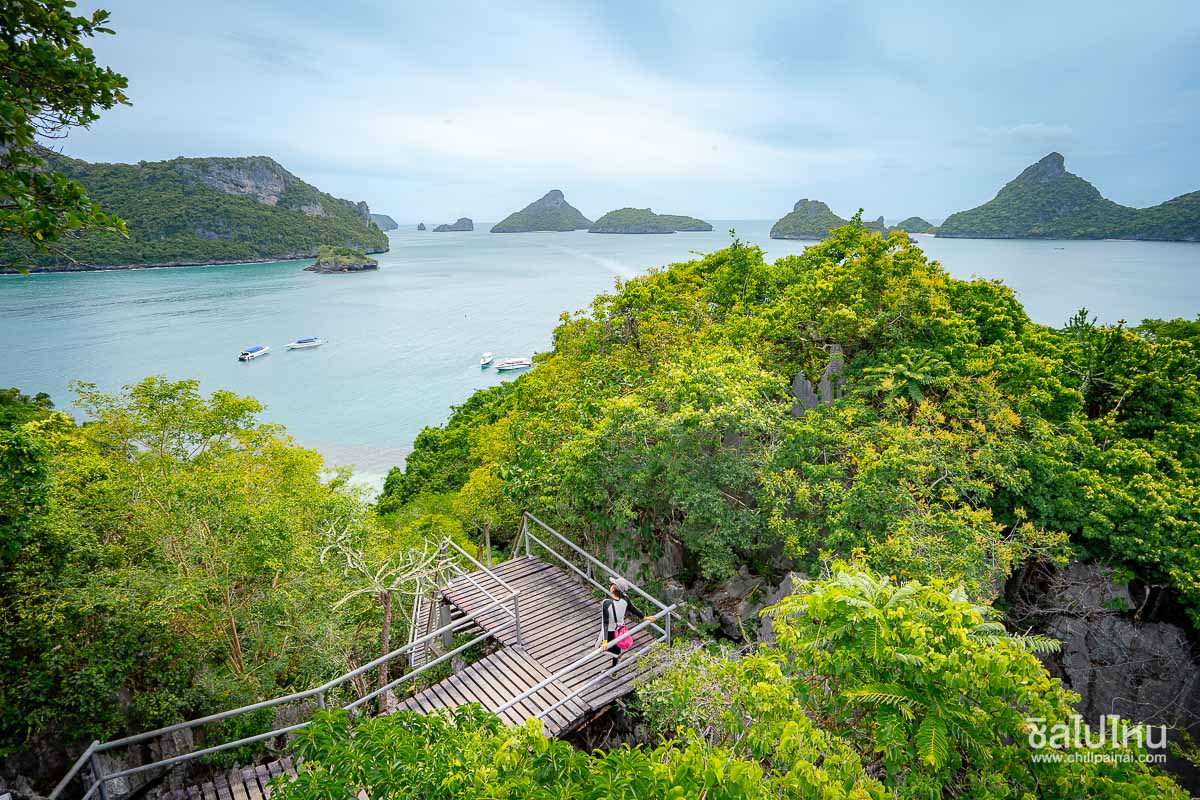 ทัวร์หมู่เกาะอ่างทองจากเกาะสมุย เที่ยววันเดียวครบทั้งชมวิว พายคายัค และดำน้ำ