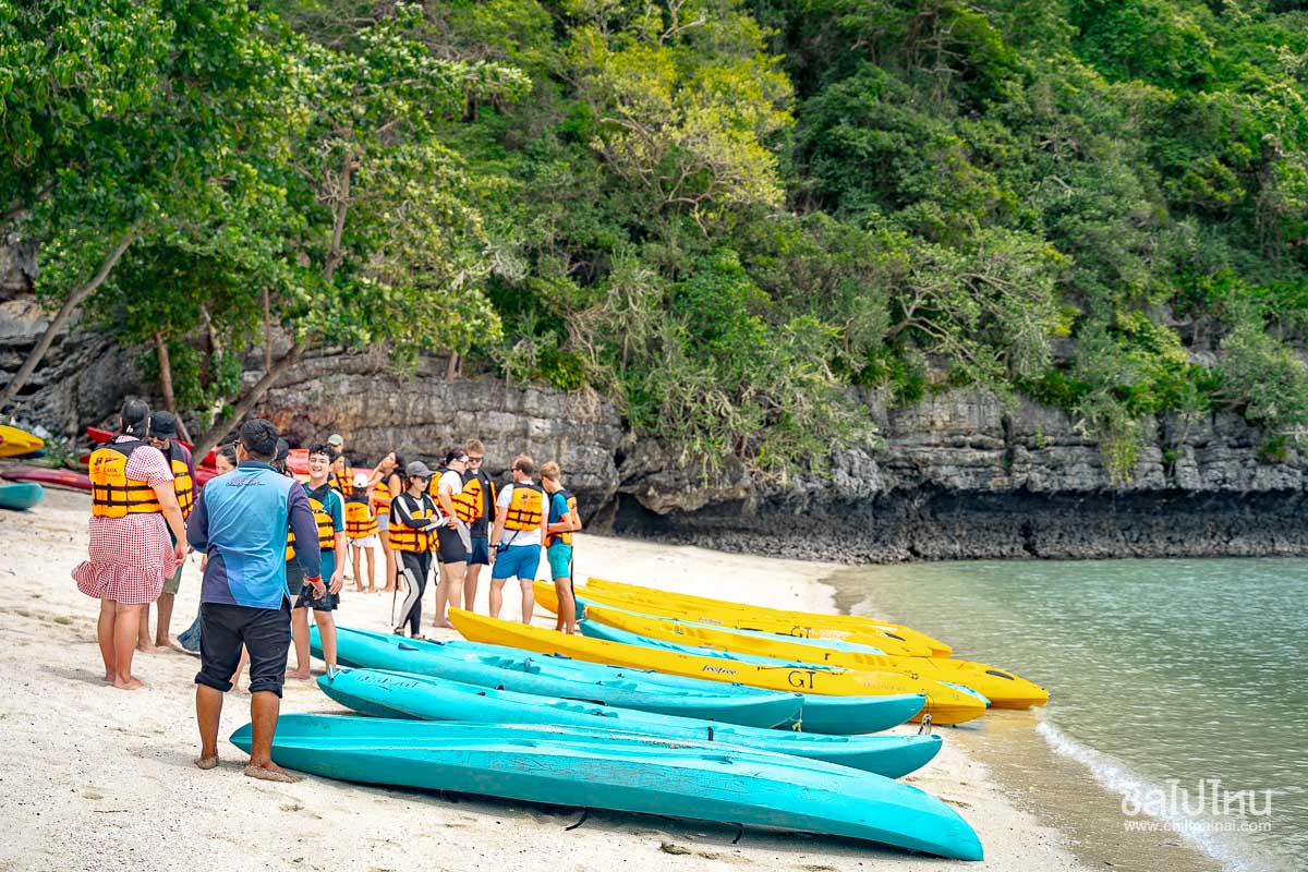 ทัวร์หมู่เกาะอ่างทองจากเกาะสมุย เที่ยววันเดียวครบทั้งชมวิว พายคายัค และดำน้ำ