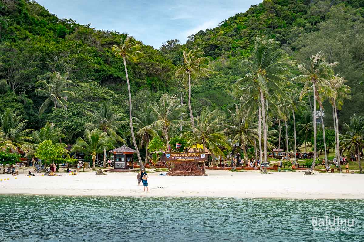 ทัวร์หมู่เกาะอ่างทองจากเกาะสมุย เที่ยววันเดียวครบทั้งชมวิว พายคายัค และดำน้ำ