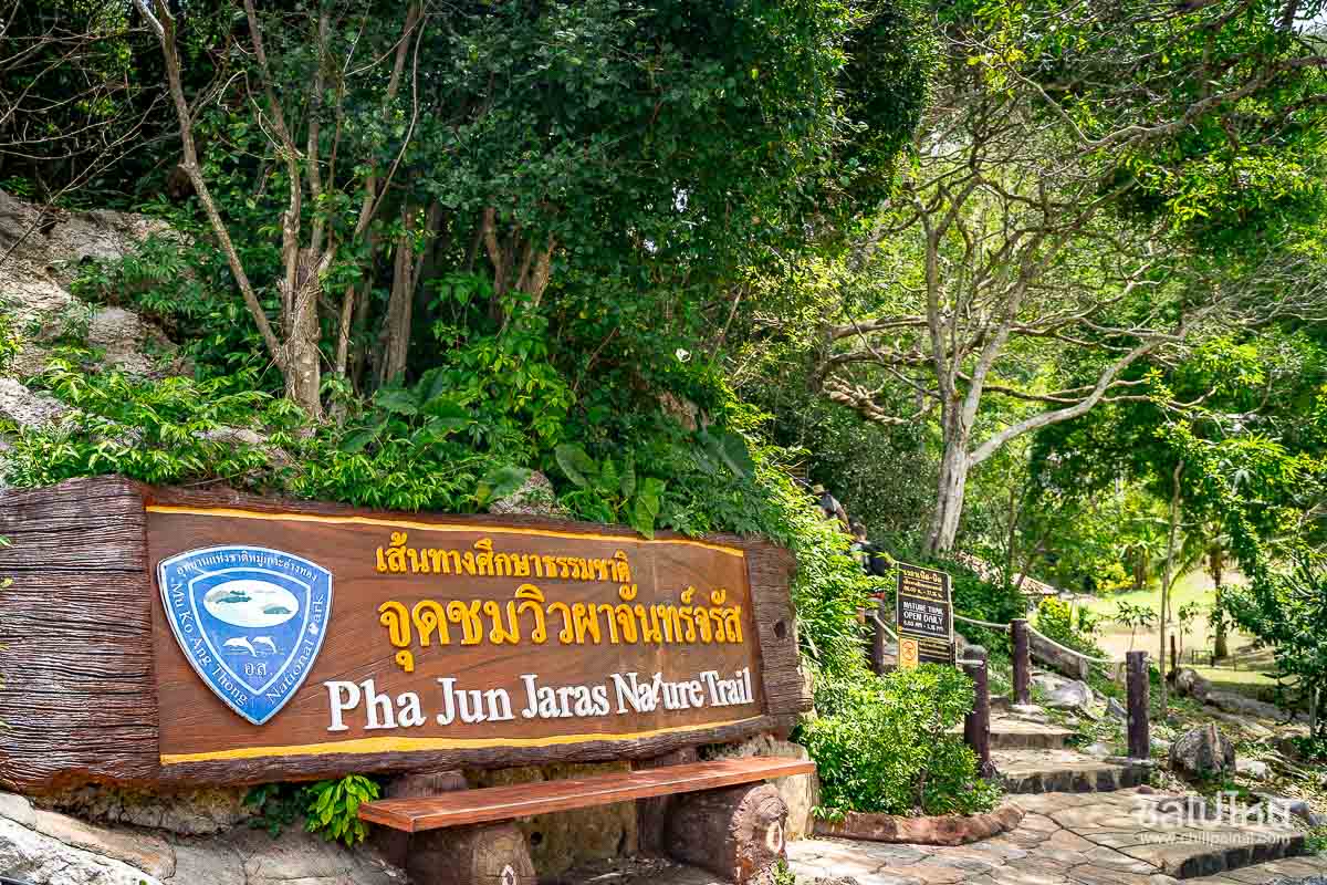 ทัวร์หมู่เกาะอ่างทองจากเกาะสมุย เที่ยววันเดียวครบทั้งชมวิว พายคายัค และดำน้ำ