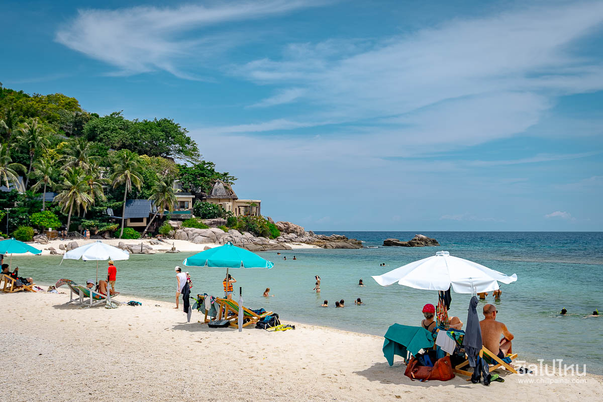 ไม่มีรถส่วนตัวก็เที่ยวได้! ทริป 5 วัน 4 คืน กรุงเทพฯ – สมุย – เกาะเต่า – เกาะนางยวน – หมู่เกาะอ่างทอง