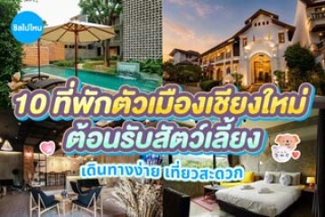 10 ที่พักตัวเมืองเชียงใหม่ ต้อนรับสัตว์เลี้ยง เดินทางง่าย เที่ยวสะดวก อัปเดต 2569