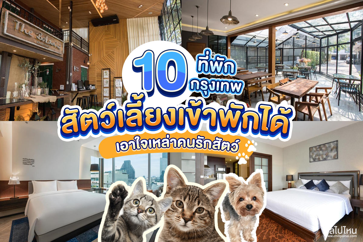 10 ที่พักในกรุงเทพ พาสัตว์เลี้ยงเข้าพักได้ เอาใจเหล่าคนรักสัตว์  อัปเดตใหม่ปี 2022 ในงบหลักพัน