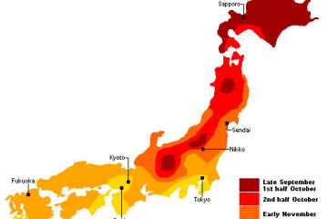 ตารางใบไม้แดง ญี่ปุ่น 2014