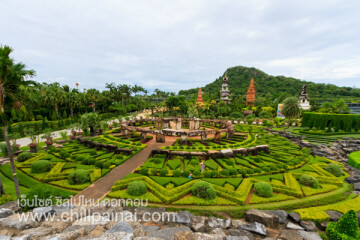 ที่เที่ยวชลบุรี : สวนนงนุช สถานที่ท่องเที่ยวเชิงอนุรักษ์ด้านพฤกษศาสตร์อีกแห่งหนึ่งของโลก