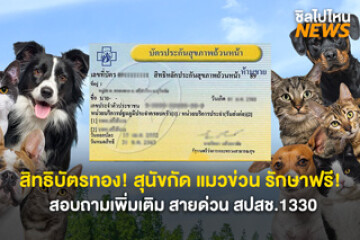 สิทธิบัตรทอง! สุนัขกัด แมวข่วน รักษาฟรี ไม่มีค่าใช้จ่าย ที่หน่วยบริการใกล้บ้าน