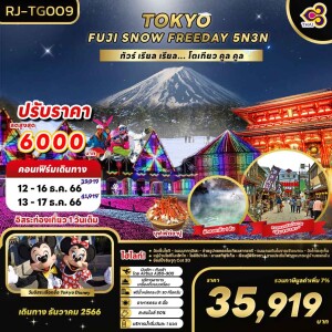 ทัวร์ญี่ปุ่น 5 วัน 3 คืน โตเกียว ฟูจิ บิน Premium THAI AIR WAYS