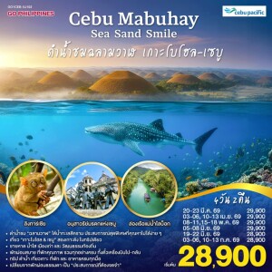 GO1CEB-5J102 ฟิลิปปินส์ 4 วัน 2 คืน เซบู ดำน้ำชมฉลามวาฬ เกาะโบโฮล  โดยสายการบิน Cebu Pacific (5J)