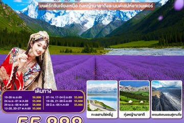 GO1URC-CZ004 จีน 8 วัน 7 คืน อูลู่มู่ฉี อี้หนิง เจียงเหนือ ทุ่งหญ้านาลาถีและมนต์เสน่ห์ลาเวนเดอร์