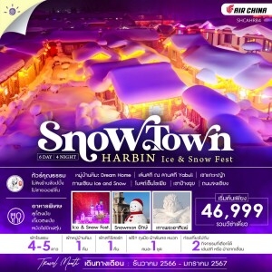 ทัวร์จีน 6 วัน 4 คืน ฮาร์บิน  เที่ยวงาน ICE AND SNOW FESTIVAL  พักหมู่บ้านหิมะ 1 คืน สกีรีสอร์ท 1 คืน