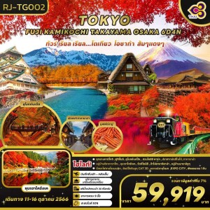 ทัวร์ญี่ปุ่น 6 วัน 4 คืน โตเกียว ฟูจิ ทาคายาม่า ชมอุโมงค์เมเปิ้ล