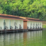 Raya Buri Resort (รายาบุรี รีสอร์ท) : ห้อง Island Suite (แพ) 2 ท่าน, กาญจนบุรี